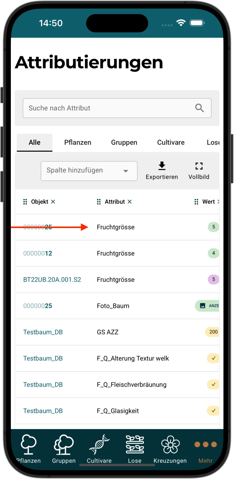 Liste der Attributierungen