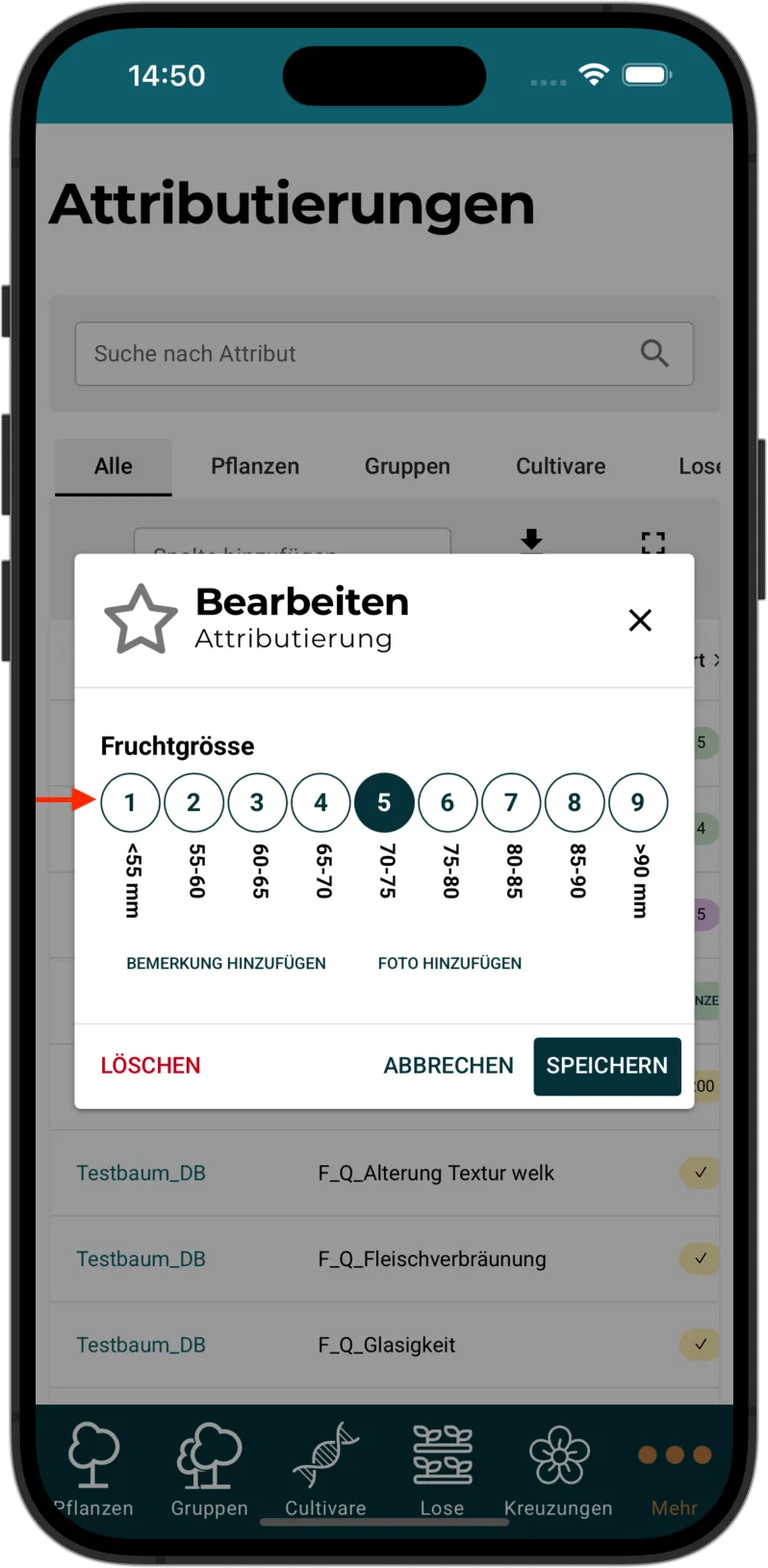 Attributierung bearbeiten